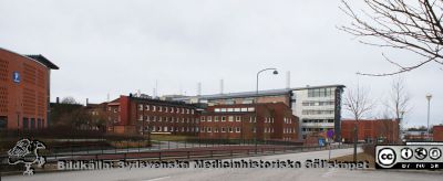 Lasarettet i Lund, mars 2012. 
Parkeringshuset Granathen, byggnaden med patologiska och rättsmedicinska avdelningarna, BMC-längans norra del, och parkeringshuset Ovalen. Gatan i förgrunden är Baravägen.
Nyckelord: Lasarett;Lund;Patologisk;Rättsmedicinsk;Institution;Avdelning;Parkeringshus