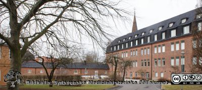 Universitetssjukhuset SUS Lund, 2012. 1918 års kvinnoklinik, nu rehabhus.
Universitetssjukhuset SUS Lund, mars 2012. 1918 års kvinnoklinik, nu rehabhus. Allhelgonakyrkans torn i bakgrunden. I bakgrunden den ovanjordiska kulverten som förband södra och norra lasarettsområdet, senare lokal för Livets Museum. Till vänster den tvåvånings barack som hyser telefonväxeln och olika byggentreprenörers kontor.
Nyckelord: Universitetssjukhuset SUS Lund;USiL;Kulvert;Rebabilitering;Klinik;Kvinnoklinik;Livets Museum