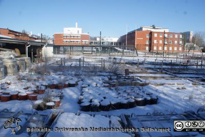 Wallenberglaboratoriet i Lund till vänster, biologihuset i centrum. 
Naturvetenskapliga institutionen, Lunds universitet. Foto från genetiska institutionen. Dess försöksplanteringar ses i förgrunden.
Nyckelord: Wallenberglaboratoriet;Naturvetenskaplig fakultet;Lund;Lunds universitet;Biologi