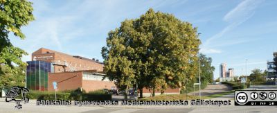 Ole Römers väg i Lund vid E-huset på LTH.
Ole Römers väg vid E-huset på LTH. Till vänster Vattenhallen Science Center och till höger i fonden sticker Ideon Gateway upp. Foto Berndt Ehinger.
Nyckelord: Lunds Tekniska Högskola;Uställning;Museum;LTH;Lunds Tekniska Högskola