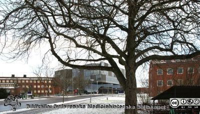 Sölvegatan med gamla fysiologiska institutionen, nya Forum Medicum och gamla fysiska institutionen
Gamla fysiologiska institutionen och nya Forum Medicum vid Sölvegatans norra ände. Gamla fysiska institutionen till höger. Foto 2023-12-23 av Berndt Ehinger
Nyckelord: Luinds universitet;Medicinska fakulteten;Fysiska institutionen