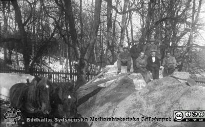 Ängelholms sjukhus.
Efter diabild i sjuksköterskan Lillie Börjessons  samling från Ängelholms sjukhus. Hästskjuts och arbete i sjukhusparken.
Nyckelord: Engelholm;Ängelholm;Sjukhus;Sjukhusparken;Parkarbete