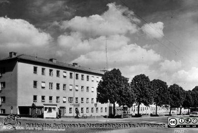 ANGELHOLM. Parti från Länslasarettet. Vykort 
Efter diabild i sjuksköterskan Lillie Börjessons samling från Ängelholms sjukhus. Text i bilden: ANGELHOLM. Parti från Länslasarettet. Vykort med bild tagen senast 1967 då högertrafik infördes.
Nyckelord: Engelholm;Ängelholm;Sjukhus;Länslasarett;Vykort