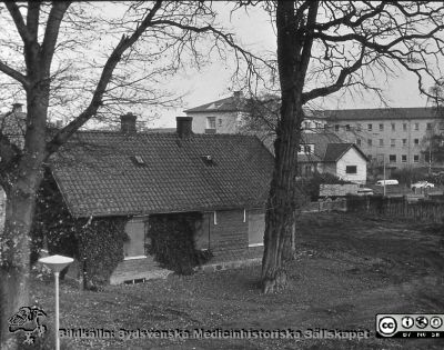 Ängelholms lasarett. Uthus
Efter diabild i sjuksköterskan Lillie Börjessons samling från Ängelholms sjukhus. Uthus på sjukhusområdet.
Nyckelord: Engelholm;Ängelholm;Sjukhus;Uthus