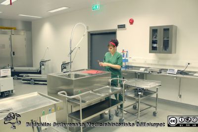 Centrala obduktionsavdelningen i Lund 2018. 
Centrala obduktionsavdelningen i Lund 2018, stora obduktionssalen. Obduktionsteknikern Pernilla NN ordnar instrument på ett obduktionsbord. Foto Daniel Ehinger, med tillstånd.
Nyckelord: Obduktion;Universitetssjukhuset i Lund;Medicinska fakulteten i Lund;Obduktionstekniker;Obduktionssal;Obduktionsavdelning