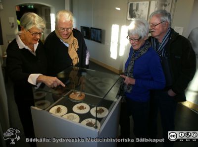 Besökare på Livets museum i Lund 2013
Birgitta och Anders Ek med gästande vänner från Östergötland. Här vid delen om våra "husdjur".
Nyckelord: Livets;Museum;Kvalster;Huden