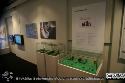 Utställning om öron, hörsel och hörapparater
En tillfällig utställning på Livets Museum i Lund
Nyckelord: Hörsel;Hörapparater;Öra;Öron