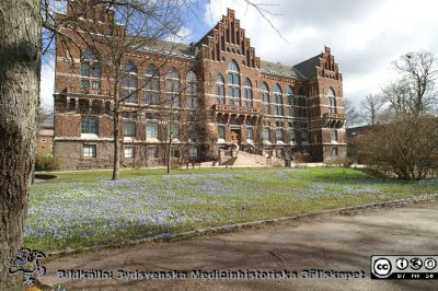 Himlen tycks ha ramlat ned på parkens gräs framför UB i Lund
Universitetsbiblioteket i Lund med parkens gräsplan tätt fylld av blå vårstjärnor 2021-04-10.
Nyckelord: Bibliotek;Lunds universitet;vårblommor;vårstjärnor