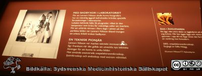 Lennart Nilsson-utställningen på Livets Museum i Lund
Vänstra delen av bänken med ljuslådor i utställningens mittparti.
Nyckelord: Lennart Nilsson;Utställning;Livets Museum;Ljuslådor;Reproduktion;Fertilitet;Mänsklig