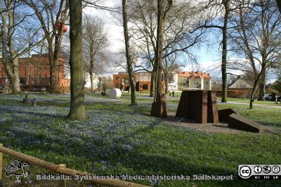 Skissernas museum bortom sin skulpturpark med prunkande blå vårstjärnor vid UB i Lund
Skissernas museum bortom sin skulpturpark med prunkande blå vårstjärnor vid UB i Lund
Nyckelord: Universitetsbibliotek;Museum;Restaurang