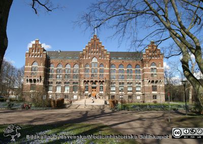 Universitetsbiblioteket i Lund.
 Fasad mot söder en vårdag med vårstjärnor i gräsmattan.
Nyckelord: Universitetsbibliotek;Park;Vårstjärnor