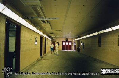 Ortopediska kliniken i Lund 1992 Studebesök på Djursjukhuset i Helsingborg. 
Från ortoped klin album 01, Lund. Fotograf Berit Jakobsson. 1992 Studebesök på Djursjukhuset i Helsingborg. Interiör därifrån.
Nyckelord: Lund;Universitetssjukhus;USiL;Kliniker;Ortopedi;Vård;Avdelningar;Djursjukhus;Studiebesök