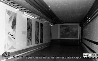 Målning i kulvert i Lund 1985
Lasarettsfotograferna i Lund,  pärm  Sv/v Negativ, 1985. 32/85. Målning på en vägg i sjukhsets underjordiska kulvertsyste, för att liva upp den ibland lite trista miljön där. Från negativ
Nyckelord: Lasarettet;Lund;Universitetssjukhuset;USiL;Kulvert;Målning;Konstverk