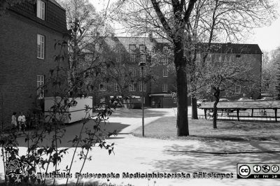 Gamla kvinnoklinikens fasad åt norr 1985, med ingången till bandageverkstaden
Lasarettsfotograferna i Lund,  pärm  Sv/v Negativ, 1985. Nr 33/1985. Gamla kvinnoklinikens fasad åt norr, då  bandage/ortoped-verkstaden LIC, Lasarettsgatan 13 (tidigare förlossningsintaget), 21/5-85. Från negativ
Nyckelord: Lasarettet;Lund;Universitetssjukhuset;USiL;Bandageverkstad;Ortopedisk;Klinik;Ortopedteknisk;Verkstad