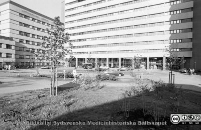 Markarbeten vid Centralblockets entré 1985
Lasarettsfotograferna i Lund,  pärm  Sv/v Negativ, 1985. 34. 1985, maj. Trädgårdarbete, huvudentrén i Centralblocket, Från negativ
Nyckelord: Lasarettet;Lund;Universitetssjukhuset;USiL;Centralblocket;Fasad;Entr;Väster