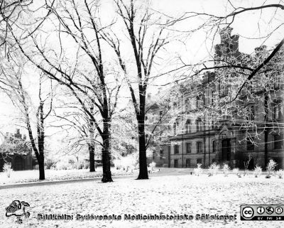 Ögonkliniken och första lasarettet nära 1900. 
Ögonkliniken i vinterskrud. Gamla Lasarettet i bakgrunden. Foto Lina Jonn / Per Bagge, troligen något av 1900-talets första år.
Nyckelord: Lasarettet;Lund;Universitetssjukhuset;USiL;Vinter;Frost;Ögon;Klinik