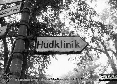 En vägvisare nära hudkliniken i Lund i mitten på 1900-talet
Ur yrkesdermatologen Sigfrid Fregerts bildsamling från hud- och könskliniken i Lund och från yrkesdermatologin i Lund. En vägvisare till hudkliniken. Det är oklart var den stod. Möjligen är det den gamla ögonkliniken som skymtar i bakgrunden bland träden, och vägvisaren bör då ha stått alldeles innanför grinden mot Paradisgatan. Åt vänster pekar pilen på ett bibliotek; kanske Lunds Stadsbibliotek? Foto.
Nyckelord: Lasarettet;Lund;Universitetssjukhuset;USiL;Hud- och könsklinik;Dermatologisk;Venerologisk;Avdelning