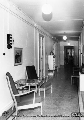 En korridor, troligen på hudkliniken 2 på 1884 års ögonklinik på 1960-talet
Ur yrkesdermatologen Sigfrid Fregerts bildsamling från hud- och könskliniken i Lund och från yrkesdermatologiska avdelningen i Lund. Foto.
Nyckelord: Lasarettet;Lund;Universitetssjukhuset;USiL;Hud- och könsklinik;Dermatologisk;Yrkesdermatologisk;Venerologisk