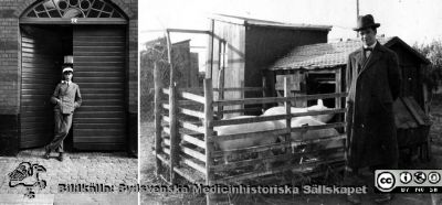 Fotoalbum tillägnat Professor Torsten Hellman 1929.
Fotoalbum tillägnat Professor Torsten Hellman med tacksamhet och vördnad från histologikursen 1929. Bildtext "De två samojederna. 1. Gunnar Löfström och 2. Arne Lithander [...och de andra grisarna]". Båda bilderna bör vara tagna i Samojedien, dvs Sverige norr om Eslöv.
Nyckelord: Histologiska avdelningen;Anatomiska Institutionen;Medicinska fakulteten i Lund;Universitet;Locus Medicus Lundensis