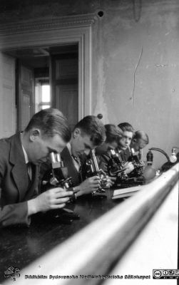 Fotoalbum tillägnat Professor Torsten Hellman 1929.
Fotoalbum tillägnat Professor Torsten Hellman med tacksamhet och vördnad från histologikursen 1929. Bildtext "Malmöraden". Rimligen studenter från Malmö i kurslaboratoriet på histologiska avdelningen på anatomiska institutionen i Lund.  Notera gärna att mikroskopisterna använde fönstrets ljus i sina mikroskop. Det fanns visserligen elektriska lampor på arbetsbänken, men de var inte tända. Mikroskopen hade inga egna inbyggda lampor.
Bildkälla Stiftelsen Locus Medicus Lundensis 250317. Fotograf okänd.
Nyckelord: Anatomiska Institutionen;Histologiska avdelningen;Mikroskoperingssal;Lärare;Locus Medicus Lundensis;Medicinska fakulteten i Lund