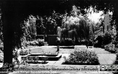 Album SSSH Lund 1927.
Album SSSH Lund 1927, skapat av SSSH-sköterskan "ego", med bilder från sin utbildningstid och senare genom flera decennier. Bilden är ett vykort som ligger löst i detta album. Det visar  en gårdsinteriör vid dåvarande Södra Sveriges Sjuksköterskehem i Lund (SSSH). Foto och förlag Berndt Johnson, Malmö
Nyckelord: Fotografiskt vykort;Lasarettet i Lund;Södra Sveriges Sjuksköterskehem;SSSH;Sydsvenska Medicinhistoriska Sällskapet;SMHS
