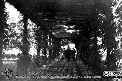 Bild ur fotoalbum SSSH Lund 1927
Album SSSH Lund 192., skapat av SSSH-sköterskan "ego", med bilder från sin utbildningstid och senare genom flera decennier. Bildtext "Invigningen av Berga i Bjärred." Kronprinsparet anländer.  Året var 1933 enligt hembygdsföreningen i Lomma kommuns hemsida (URL https://www.hembygd.se/lomma/plats/856/gallery/2005183)
Nyckelord: Lasarettet i Lund;Södra Sveriges Sjuksköterskehem;SSSH;Sydsvenska Medicinhistoriska Sällskapet;SMHS;SSSH-hemmet i Bjärred